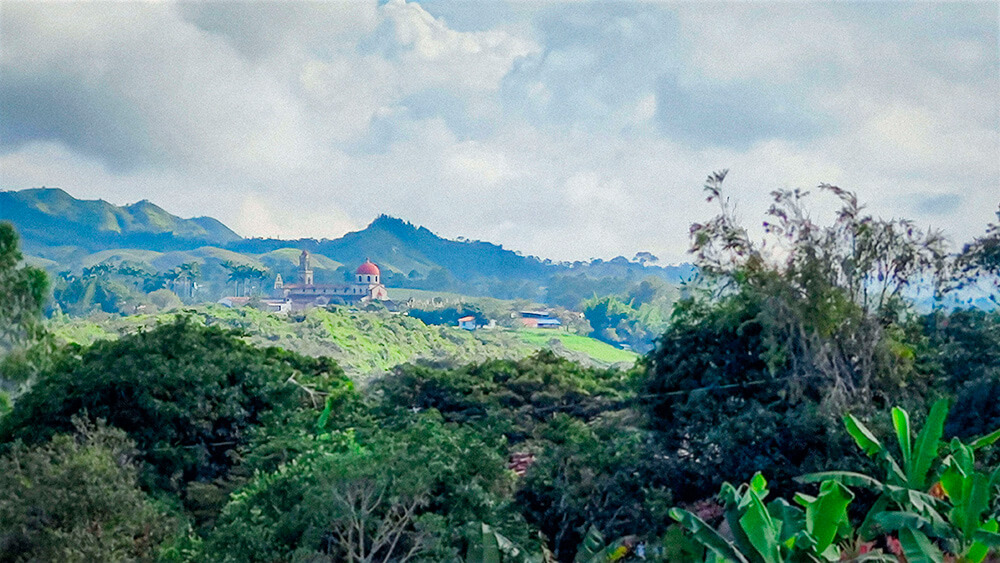 VII ERC 2024 Guadalupe