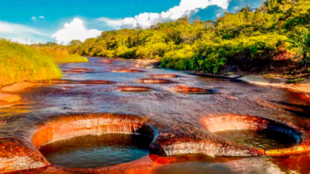 VII ERC 2024 Guadalupe