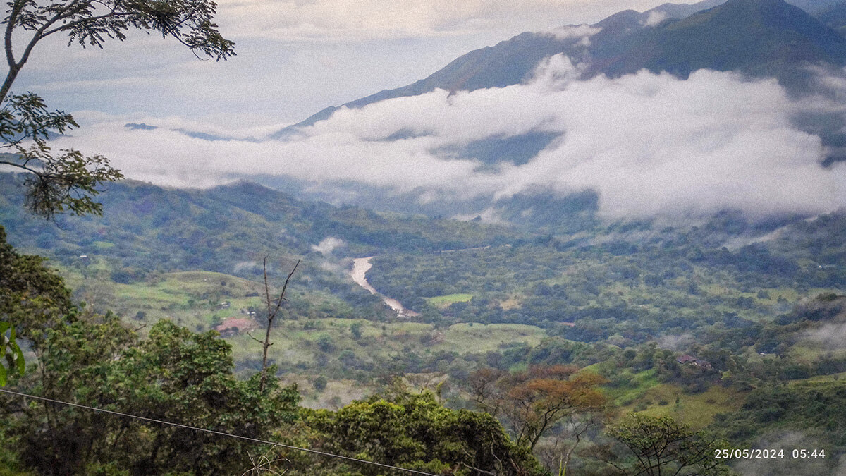 VII ERC 2024 Guadalupe