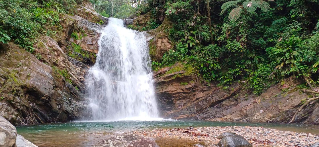 XXII ENC 2024 Doncello