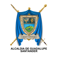 Alcaldía Guadalupe