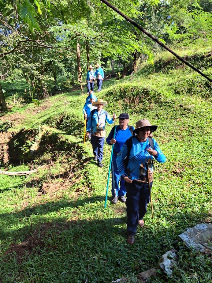 Imagen de la actividad