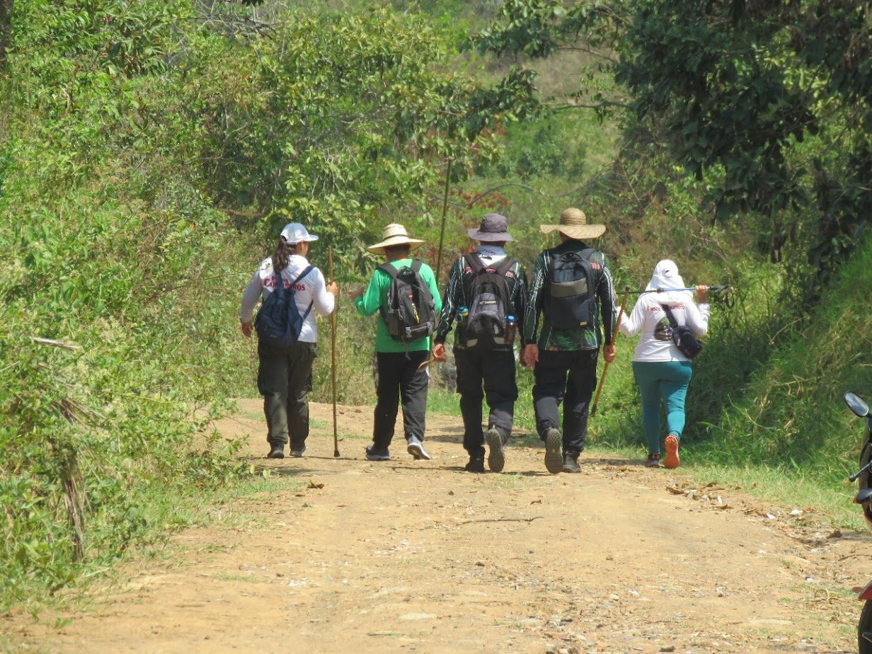 Imagen de la actividad