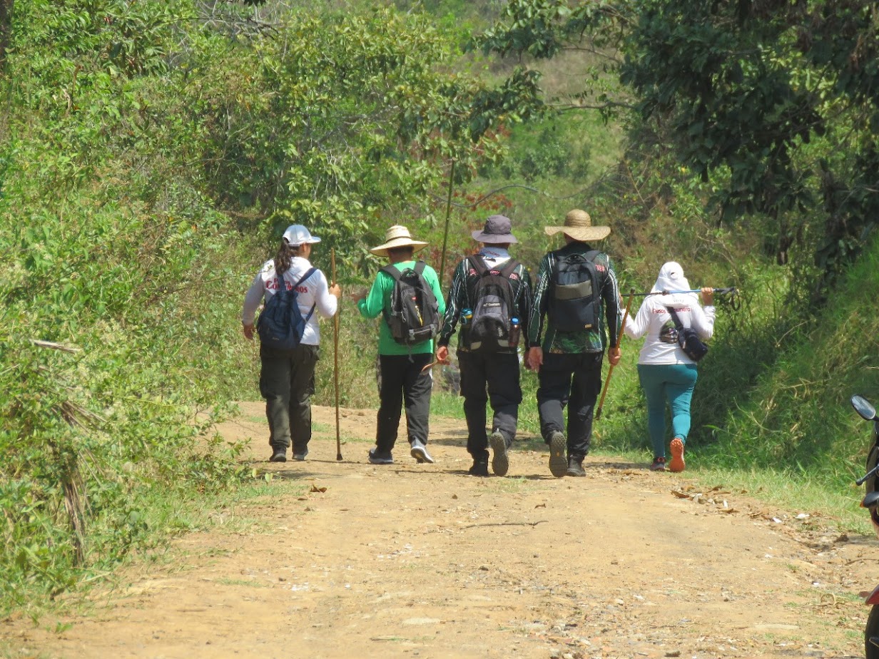Imagen de la actividad